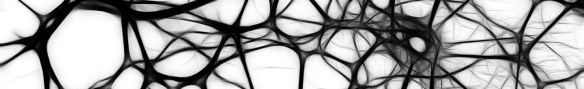 cropped-neurons-440660_1280-pixabay-cc0