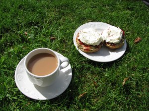 Tea and scones